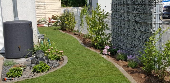 Gartenbereich mit sorgfältig gepflegtem Rasen und dekorativen Sträuchern.